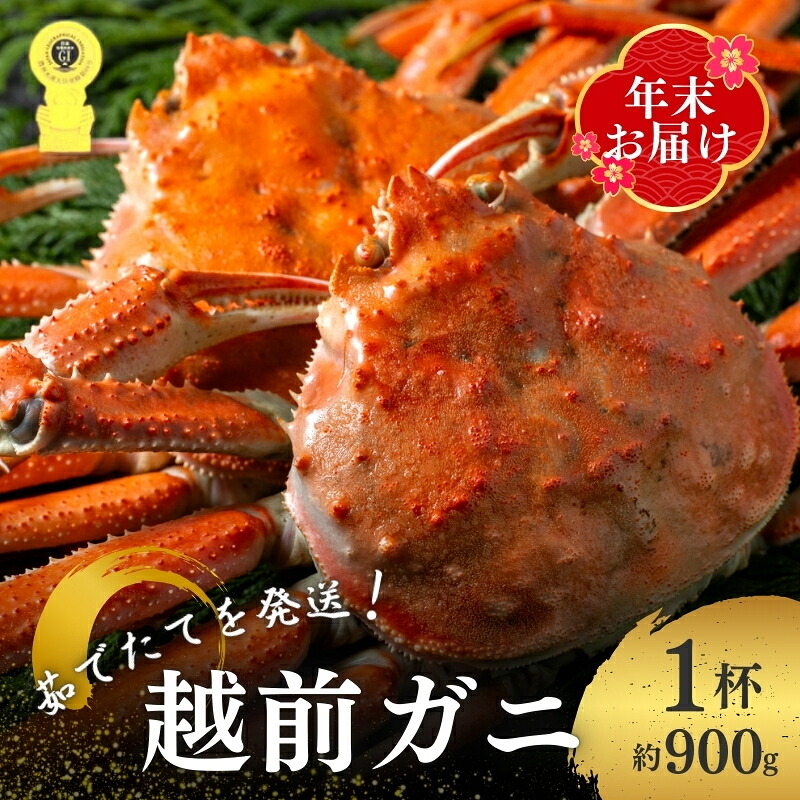 【ふるさと納税】茹で 越前ガニ 約900g以上 1杯 年末配送 食通もうなる本場の味をぜひ、ご堪能ください 越前かに 蟹 カニ かに ボイルカニ ボイル蟹 ポーション ズワイガニ ずわい蟹 海鮮 福井 福井県 若狭町　お届け：2026年12月28日～30日