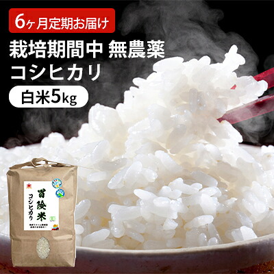 【ふるさと納税】米 定期便 6ヶ月 栽培期間中 無農薬 コシヒカリ 5kg 白米 精米 こめコメ 福井県認証特別栽培米 化学肥料化学合成農薬不使用 ご飯 6回 半年 お楽しみ こしひかり 福井 福井県 若狭町 お届け:2026年10月以降発送|福井県若狭町