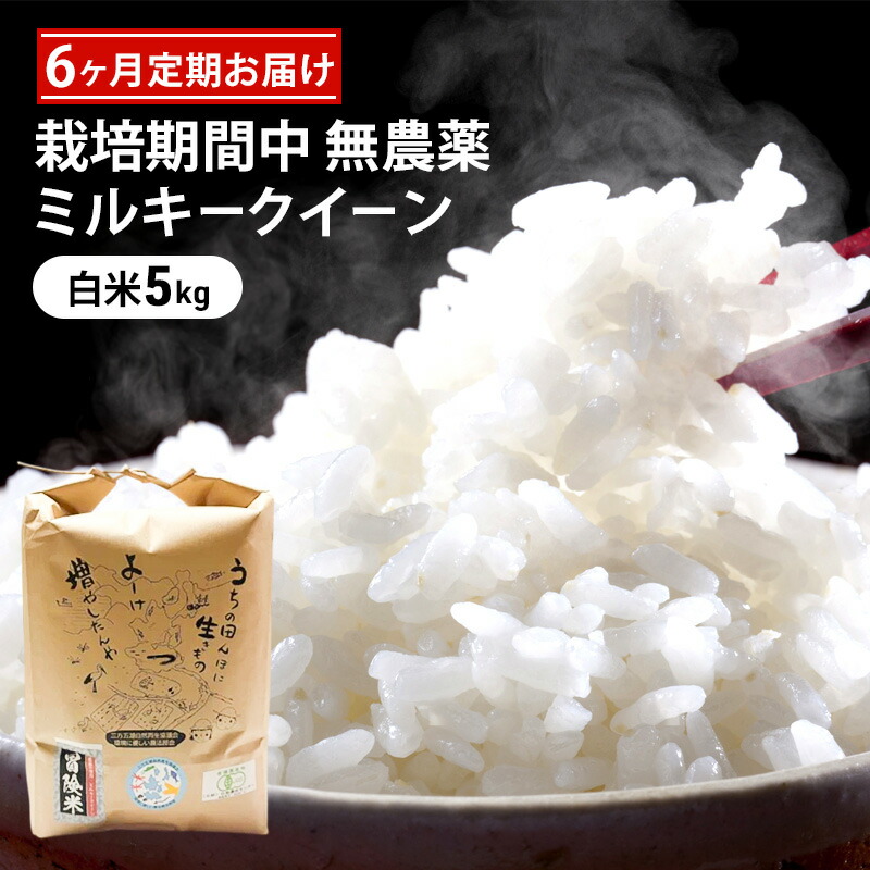 【ふるさと納税】米 定期便 6ヶ月 栽培期間中 無農薬 ミルキークイーン 5kg 白米 精米 こめコメ 福井県認証特別栽培米 化学肥料化学合成農薬不使用 ブランド米 ご飯 ミルキークィーン 6回 半年 お楽しみ 福井 福井県 若狭町　お届け：2026年10月以降発送｜福井県若狭町