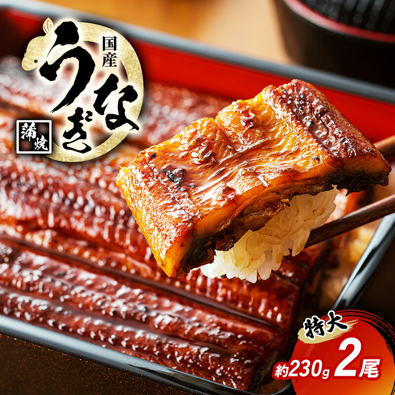 【ふるさと納税】国産うなぎ 特大 蒲焼き 約230g前後 2尾 国産 うなぎ ウナギ 鰻 国産鰻 うなぎの蒲焼き ウナギの蒲焼 国産うなぎ蒲焼 国産鰻の蒲焼 魚 お魚 魚介 魚介類 海鮮 海鮮セット 惣菜 職人 手焼き ギフト 贈り物 プレゼント 福井 福井県 若狭町