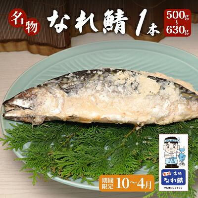 【ふるさと納税】名物なれ鯖 1本 500g~630g 期間限定10月から翌年4月 お届け:2026年11月頃から発送開始|福井県若狭町
