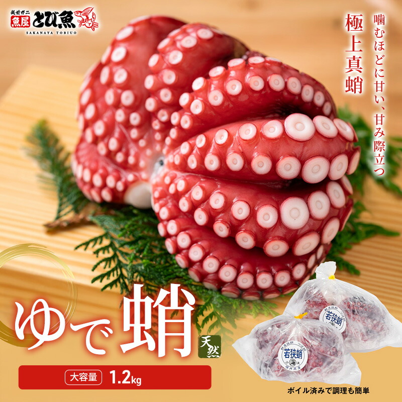 【ふるさと納税】茹でまだこ 福井県産 1.2Kg （2～3杯）タコ ボイル 魚介 魚介類 海鮮 国産 福井県 若狭 14,250円