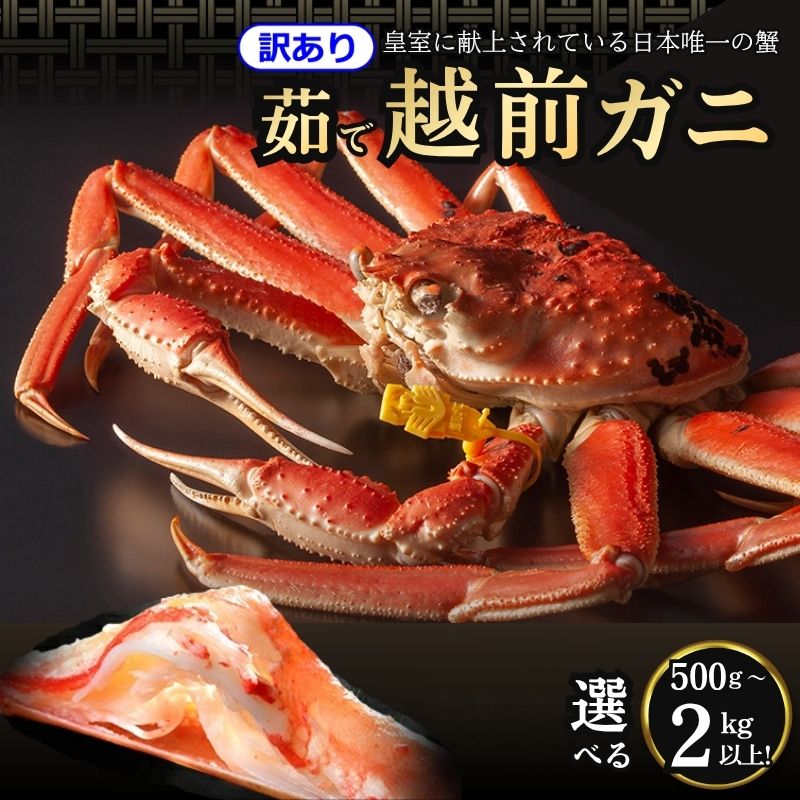 【ふるさと納税】【訳アリ商品】かに 訳あり 期間限定 茹で 越前ガニ 500g~2kg以上 ボイルカニ ボイル 魚介類 お届け:2026年11月10日~2027年3月31日(年末年始を除く)|福井県若狭町