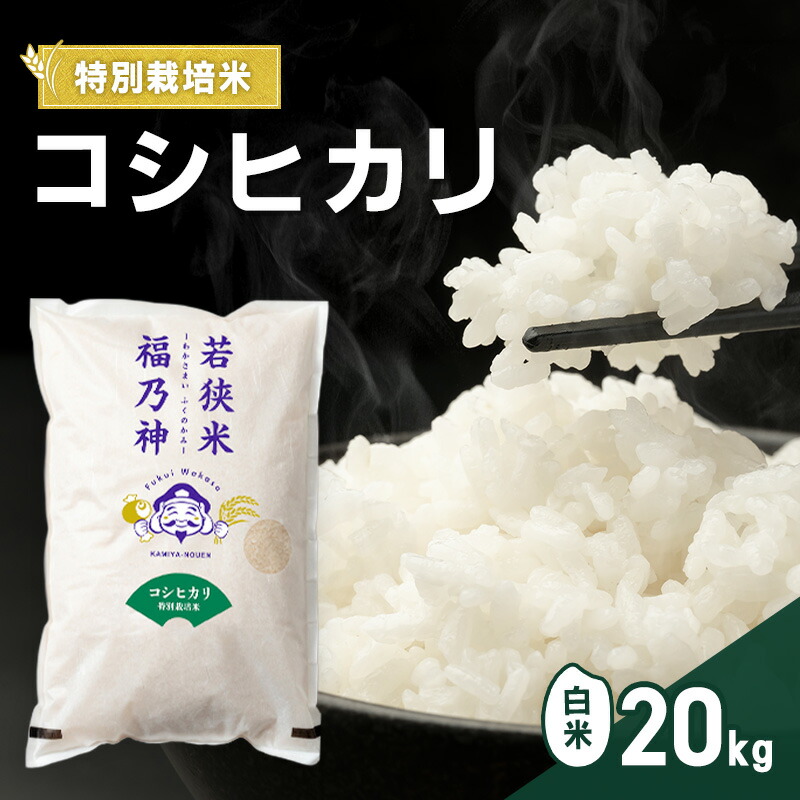 【ふるさと納税】令和8年産 特別栽培米 コシヒカリ 20kg（白米） 米 お米 こしひかり 若狭町　お届け：2026年10月上旬～2027年3月下旬｜福井県若狭町