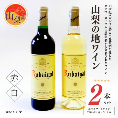 【ふるさと納税】山梨の地ワイン2本セット (丸藤葡萄酒工業 赤白)_ 山梨県 ワイン 赤ワイン 白ワイン セット 飲み比べ お酒 葡萄酒 人気 おすすめ 送料無料 【配送不可地域：離島】【1204336】