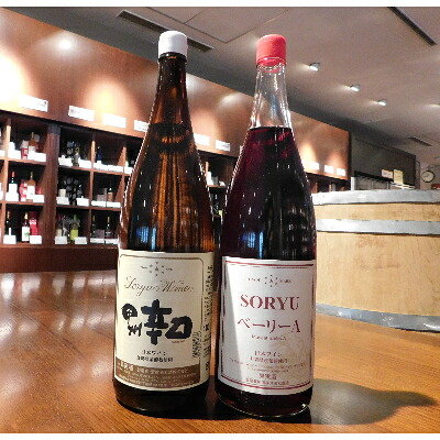 【ふるさと納税】山梨名物一升瓶ワインセット【蒼龍葡萄酒の甲州辛口・ベーリーA(白・赤)】【配送不可地域：離島】【1214738】｜山梨県