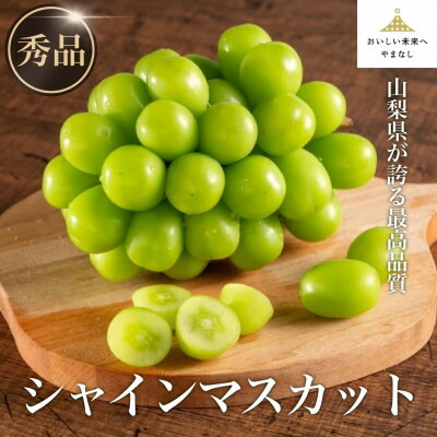 【ふるさと納税】【秀品・JA全農やまなし】山梨県産シャインマスカット 2房(約1.2kg)【配送不可地域：離島】【1491127】