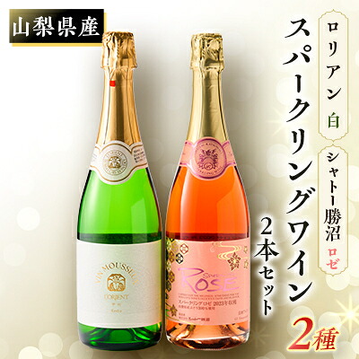 【ふるさと納税】山梨県産スパークリングワイン2本セット(ロゼ、ヴァン・ムスー甲州)_ スパークリングワイン 山梨 ロゼ マスカットベーリーA メルロ 甲州 人気 美味しい 2本 セット【配送不可地域：離島】【1498520】