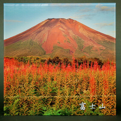 【ふるさと納税】富士山アクリルパネル　30SQ　夏【配送不可地域：離島】【1542273】｜山梨県 17,750円