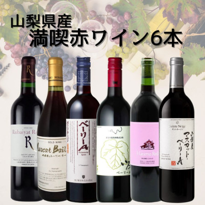 【ふるさと納税】山梨県産満喫赤ワイン6本セット(1)002_ ワイン 赤ワイン 飲み比べ セット 山梨 ギフト 美味しい 送料無料 【配送不可地域：離島】【1606769】｜山梨県