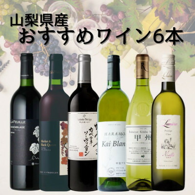 【ふるさと納税】山梨県産ワインおすすめ赤白6本セット(3)010_ ワイン 赤ワイン 白ワイン 飲み比べ セット 山梨 ギフト 美味しい 送料無料 【配送不可地域：離島】【1606813】｜山梨県