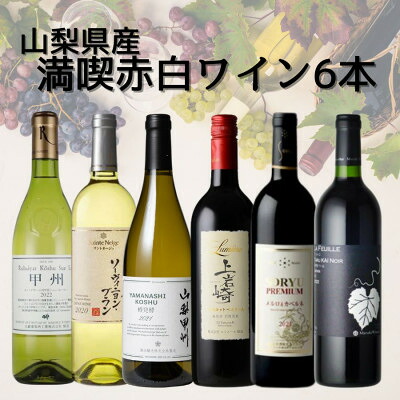 【ふるさと納税】山梨県産ワインおすすめ赤白6本セット(4)011_ ワイン 赤ワイン 白ワイン 飲み比べ セット 山梨 ギフト 美味しい 送料無料 【配送不可地域：離島】【1606820】