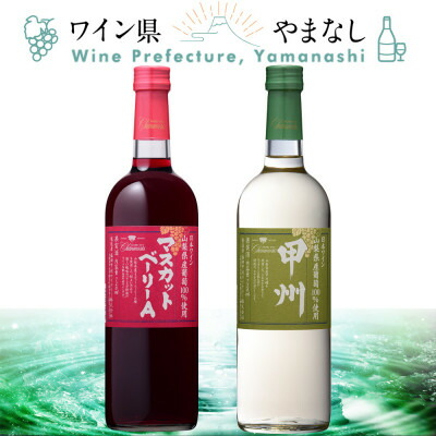 【ふるさと納税】盛田甲州ワイナリー シャンモリ山梨県産葡萄 2本セット【配送不可地域：離島】【1607395】