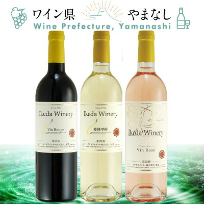【ふるさと納税】イケダワイナリー 赤&白&ロゼ 3本セット【配送不可地域：離島】【1607437】｜山梨県