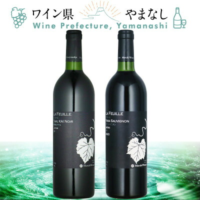 【ふるさと納税】山梨県作出ブドウ 甲斐ノワール&ヤマ・ソービニオン 2本セット【配送不可地域：離島】【1607456】｜山梨県