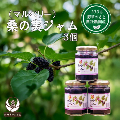 【ふるさと納税】桑の実ジャム150g(3個)【1670288】
