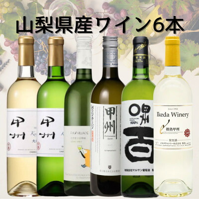 【ふるさと納税】山梨県産白ワイン6本セット　052【1684605】 26,000円