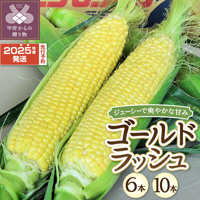 【ふるさと納税】 とうもろこし ゴールドラッシュ 2025年度配送分 先行予約 選べる数量 6本 10本 甘い ジューシー 柔らかい 爽やか 野菜 2025年6月上旬～下旬にかけて順次配送予定 k003-027