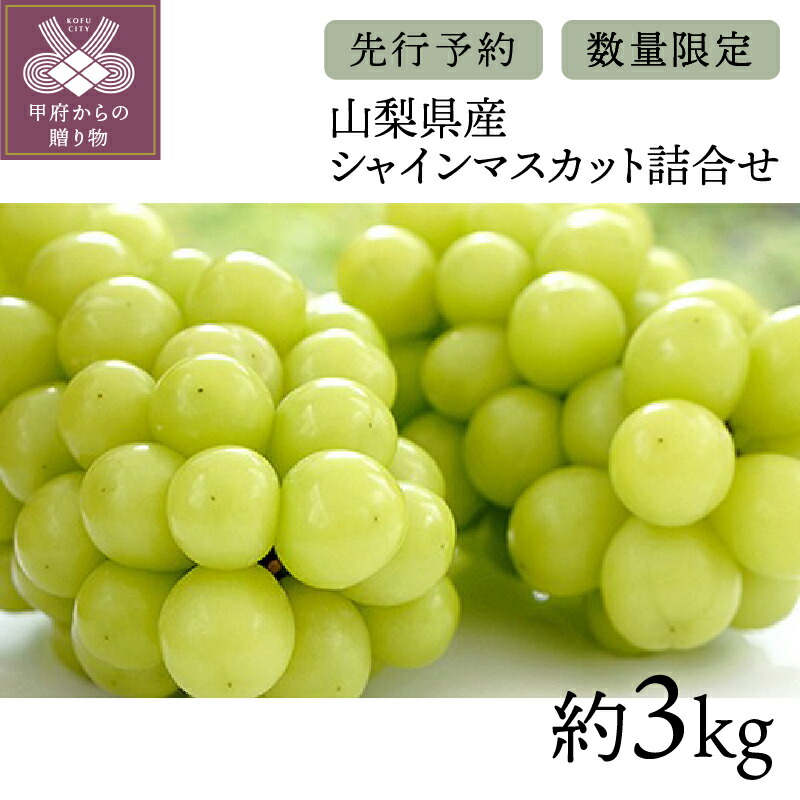 工場直送 楽天市場 ふるさと納税 先行予約 数量限定 山梨 シャインマスカット ブドウ 種無し 数量限定 3 0kg K036 009 送料無料 山梨県甲府市 驚きの値段 Www Psht Or Id