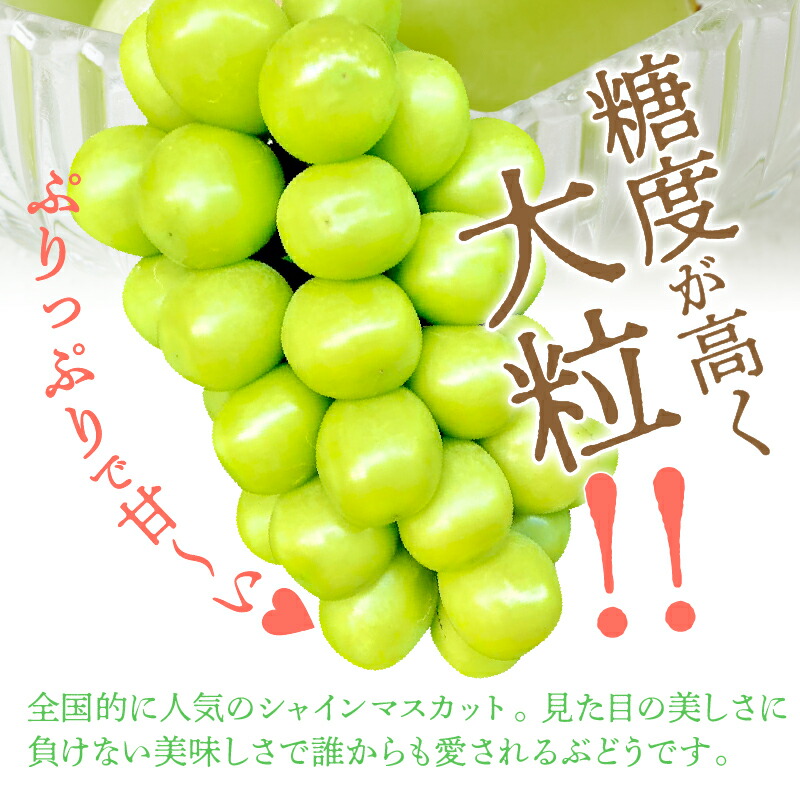 Sale 77 Off シャインマスカット 山梨 ブドウ 種無し 数量限定 先行予約 3 4房 約2kg クール便 K191 001 Fucoa Cl