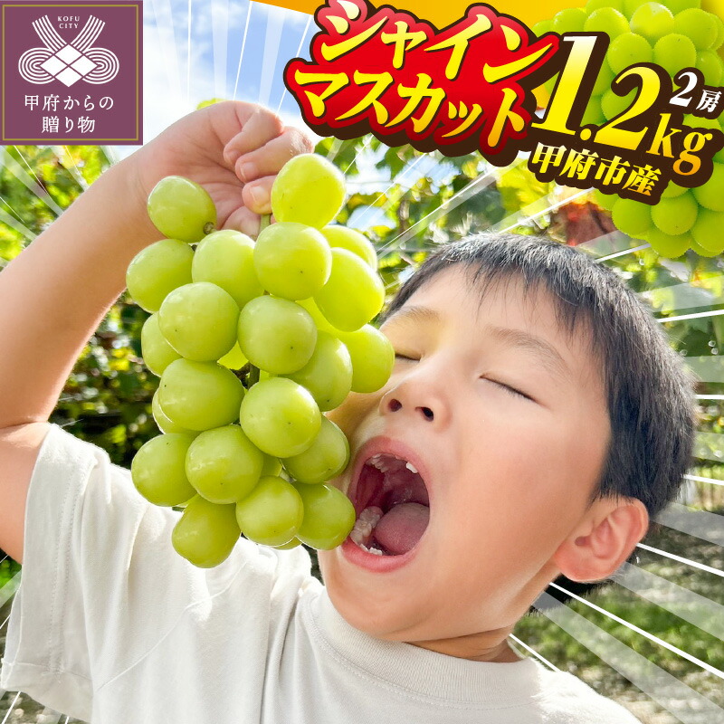 【ふるさと納税】 シャインマスカット 先行予約 2025年 山梨 県産 ぶどう 甲府 市産 2房 約1.2kg フルーツ 糖度20度前後 高級 完熟 産地直送 人気急上昇中 高評価 フルーツ王国山梨 贈答 ギフト 2025年8月中旬～9月下旬にかけて順次配送 k213-013