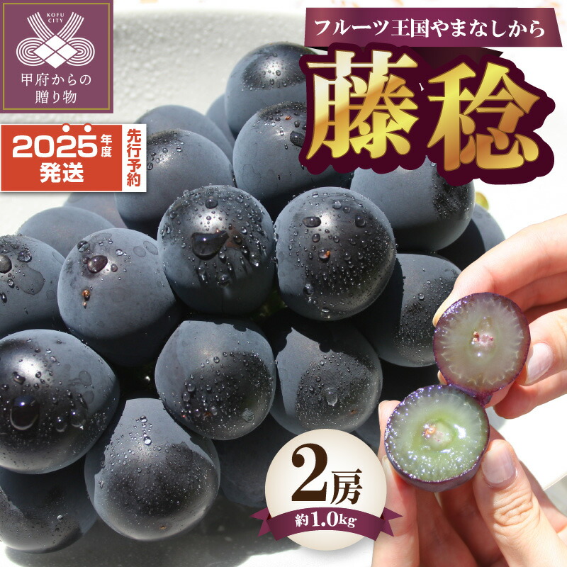 【ふるさと納税】 ◆数量限定◆ 山梨県産 藤稔 2房 約1.0kg 2025年度配送分 先行予約 期間限定 フルーツ 果物 冷蔵 大粒 ジューシー 食べやすい 贈り物 お中元 贈答品 手土産 プレゼント ギフト箱 ぶどう 甲府市産 数量限定 k330-008