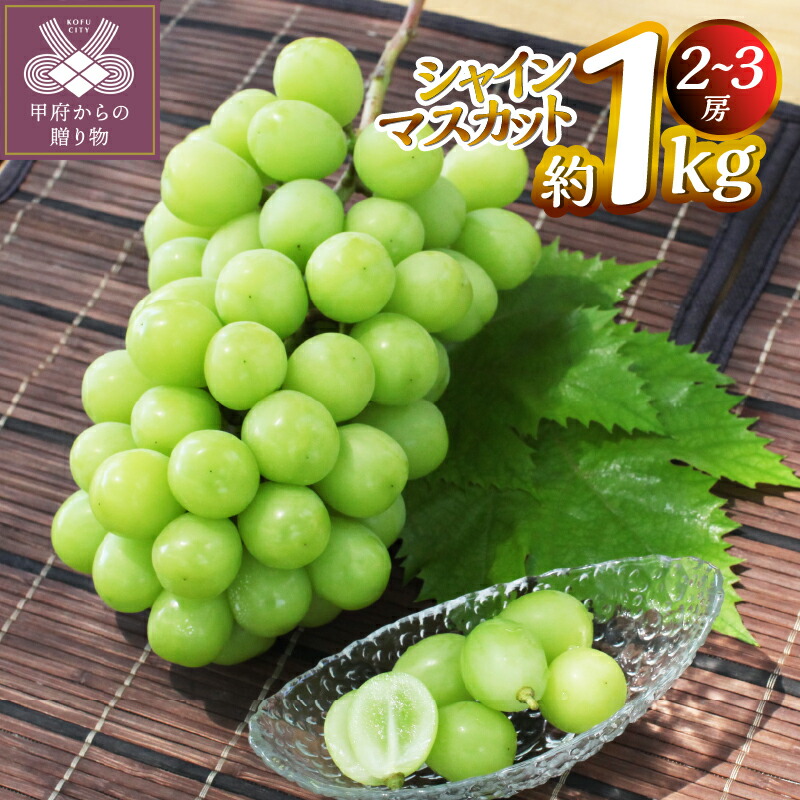 【ふるさと納税】 シャインマスカット 約1.0kg（2～3房） ぶどう フルーツ 果物 旬 甲府市産 こだわり 産地直送 冷蔵 数量限定 期間限定 2026年8月下旬～10月下旬頃順次発送 k346-007｜山梨県甲府市 8,360円