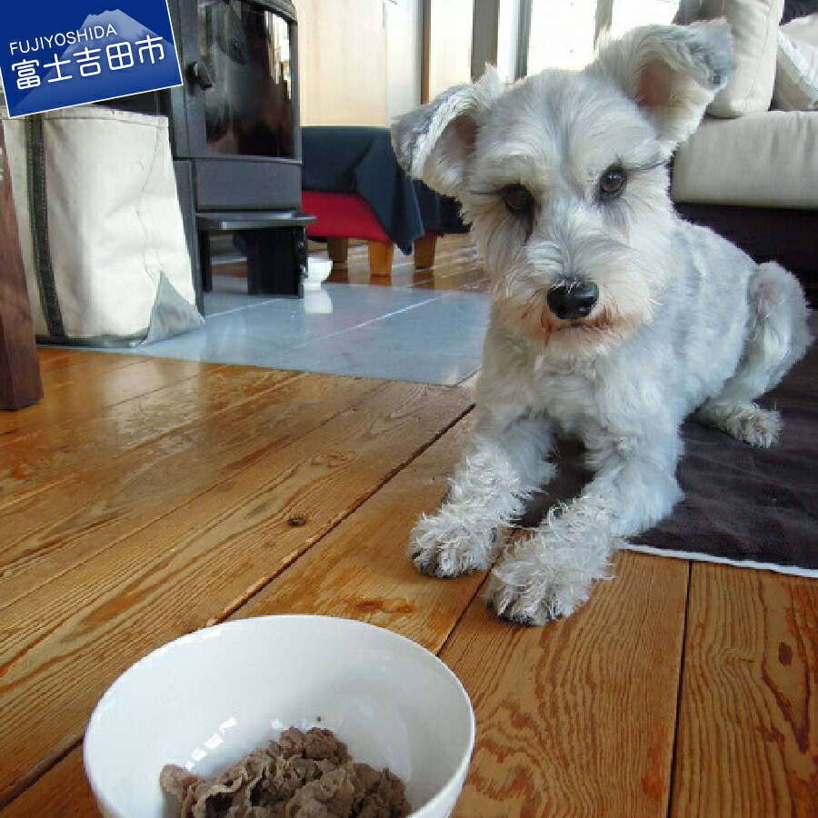 楽天市場 ふるさと納税 わんちゃん 犬 ペット ごはん 餌 国産馬肉 高たんぱく 低カロリー ペット用 わんちゃんごはん0g 5p 送料無料 山梨県富士吉田市