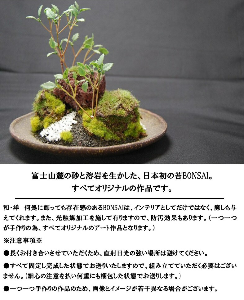 驚きの値段新品 インテリア Bonsai 創作 盆栽 苔 花 観葉植物 和モダン 丸皿 古瀬戸 創作 送料無料 山梨県富士吉田市富士山麓の砂と溶岩を生かした 日本初の苔bonsai すべてオリジナルの作品です 大 盆栽 ふるさと納税 盆栽