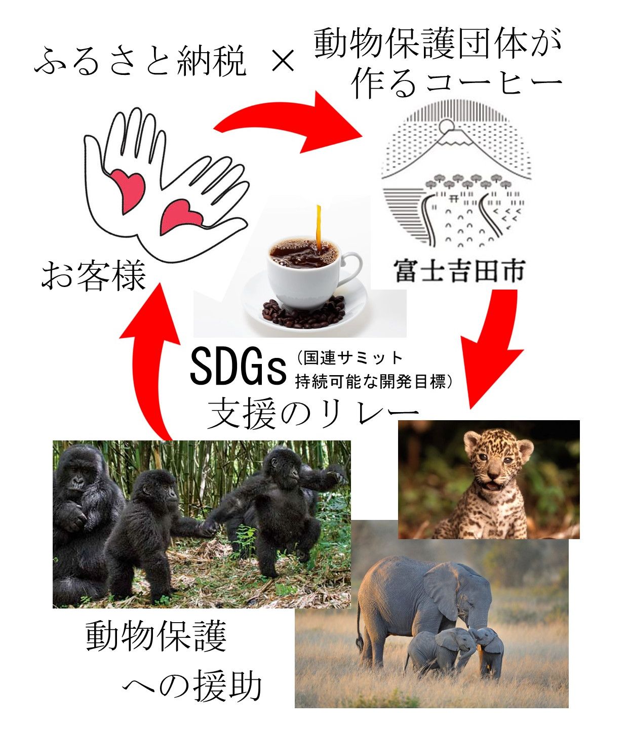 ふるさと納税 訳あり 動物保護支援 ブレンドコーヒー 富士山の湧き水で磨いた 豆 粉 400g ドリップ 12g 24袋 自家焙煎 加熱水蒸気 スペシャルティコーヒー セット 珈琲 Crunchusers Com