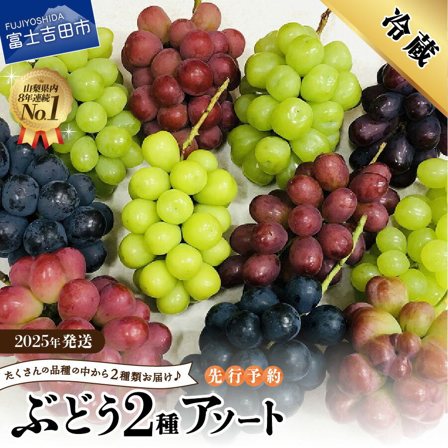 【ふるさと納税】 アソート シャインマスカット ぶどう フルーツ お任せ 2品種 2房 シャイン マスカット 赤ぶどう 緑ぶどう 黒ぶどう 2025年発送 果物 くだもの 葡萄 マスカット 詰め合わせ セット マツコの知らない世界  テレビで紹介 富士吉田市 山梨