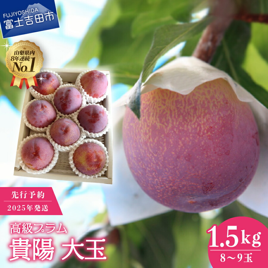 【ふるさと納税】 プラム 2025年発送 7月 高級 すもも 貴陽 大玉 1.5kg 富士吉田市 スモモ  8玉～9玉 数量限定 期間限定 富士吉田 山梨県産 フルーツ 果物 くだもの