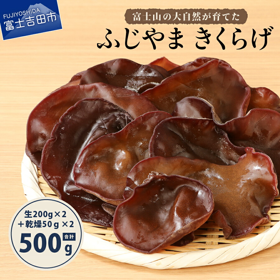 【ふるさと納税】 国産 きくらげ 木耳 鉄分 生 乾燥 きのこ 富士山 ふじやま キクラゲ 生きくらげ 200g×2 乾燥きくらげ 50g×2 有機JAS オーガニック 便利|山梨県富士吉田市