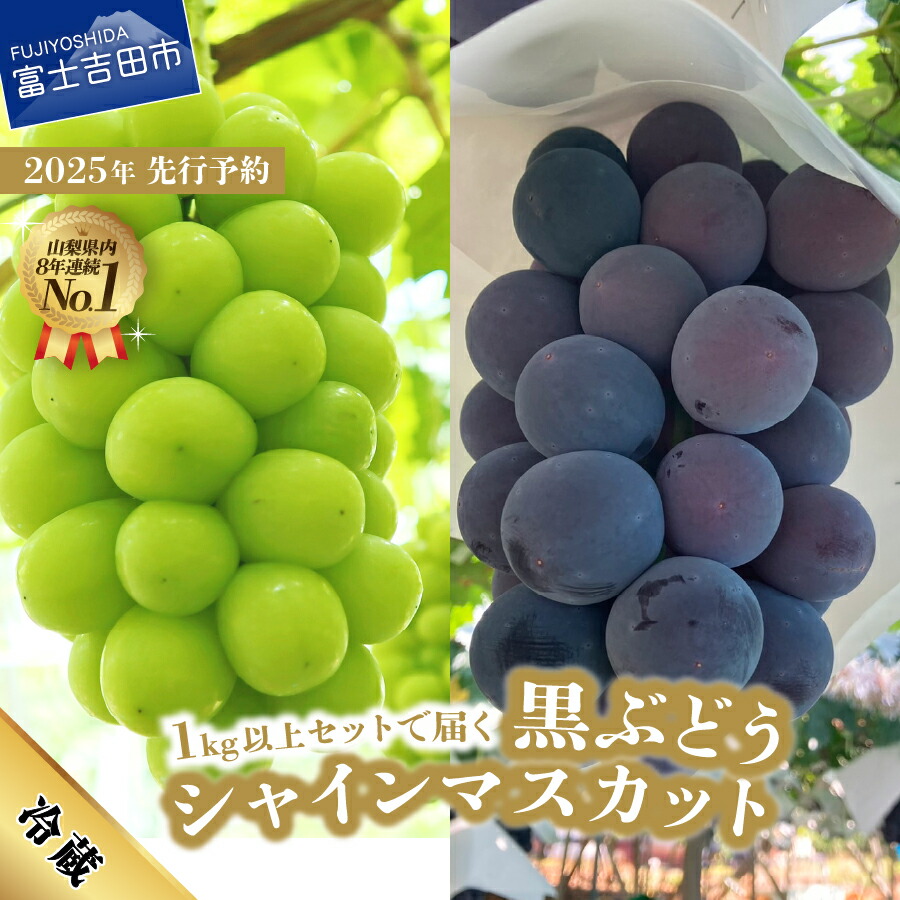 【ふるさと納税】 送料無料 シャインマスカット 黒ぶどう  ふるさと納税 1kg以上 セット 2種 食べ比べ 山梨県 富士吉田市 フルーツ 果物 ぶどう ふるさと納税 厳選 産地直送 数量限定 2025年 詰め合わせ シャイン マスカット ふるさと納税 マツコの知らない世界 テレビで紹介