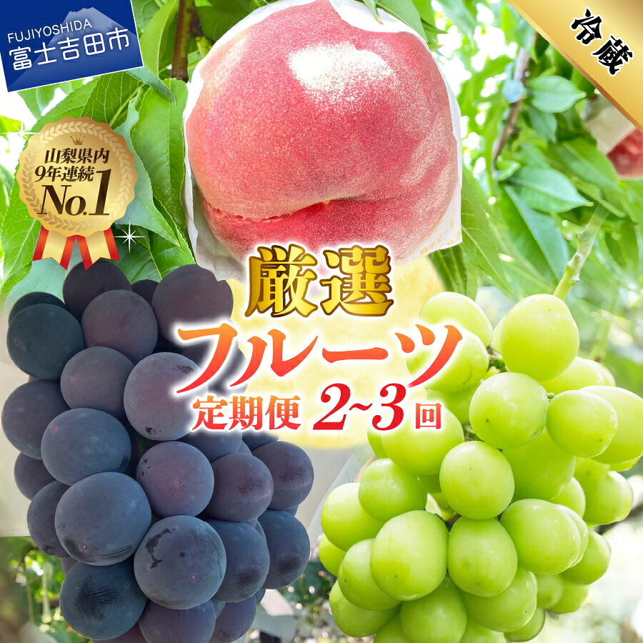 【ふるさと納税】 \高評価★4.64/ 2026年 定期便 フルーツ 桃 シャインマスカット 黒ぶどう 選べる回数 2回 3回 もも ブドウ 500g以上 果物 高レビュー【2026年7月中旬頃~10月中旬頃まで順次発送】 富士吉田 ふるさと納税 ランキング|山梨県富士吉田市