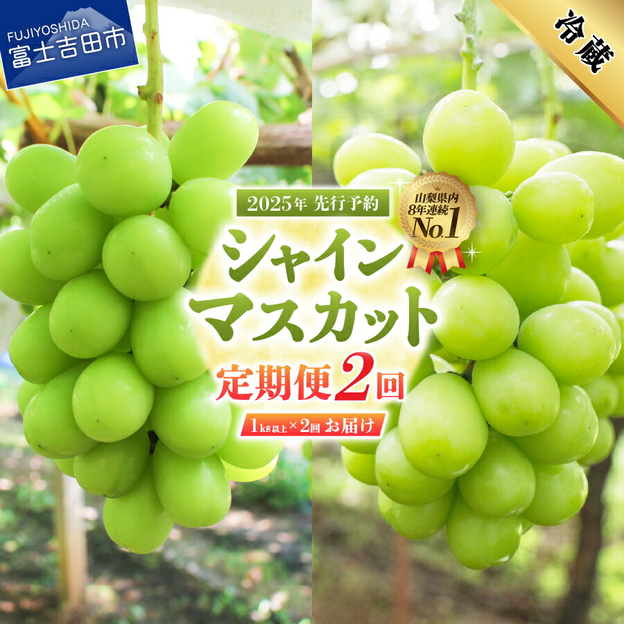 【ふるさと納税】 シャインマスカット 定期便 全2回 1kg以上×2回 フルーツ ぶどう 山梨県産 シャイン マスカット 新鮮 厳選 濃厚 甘さ 香り 果物 くだもの マツコの知らない世界  テレビで紹介 富士吉田市 【2025年先行予約】