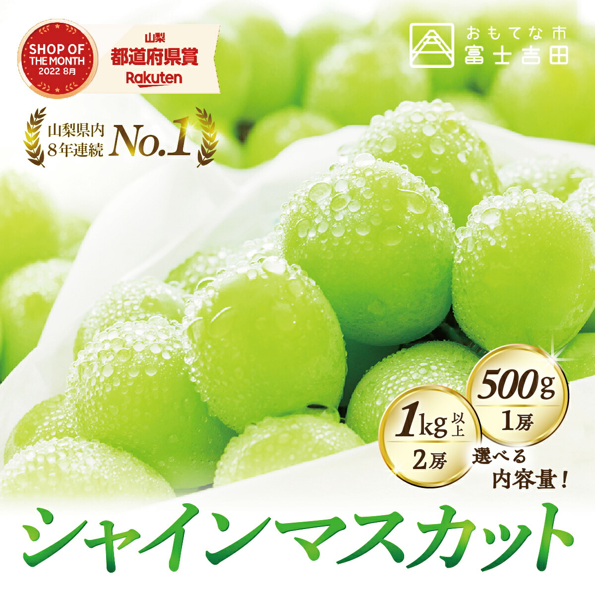 【ふるさと納税】数量限定 シャインマスカット 500g 1kg以上 2回定期便 期間限定 ガイアの夜明けで紹介されました！  フルーツ 果物 ぶどう ブドウ マスカット 厳選 ジューシー 甘さ抜群 山梨 富士吉田市 《 2025年 先行予約 》