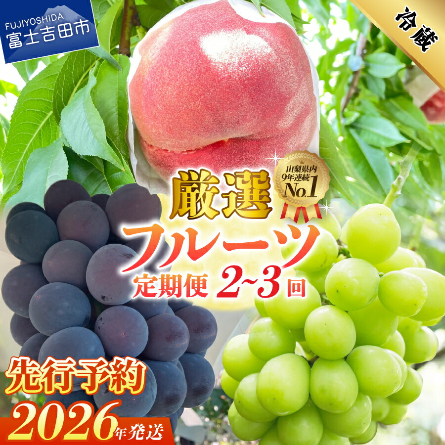 楽天市場】【ふるさと納税】 アソート シャインマスカット