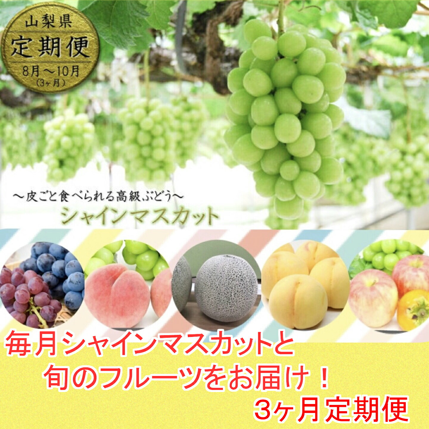 楽天市場 ふるさと納税 定期便 シャインマスカット フルーツ メロン 桃 もも ネクタリン ぶどう 柿 梨 なし リンゴ 3ヶ月お届け 山梨産 8 10月 山梨県富士吉田市