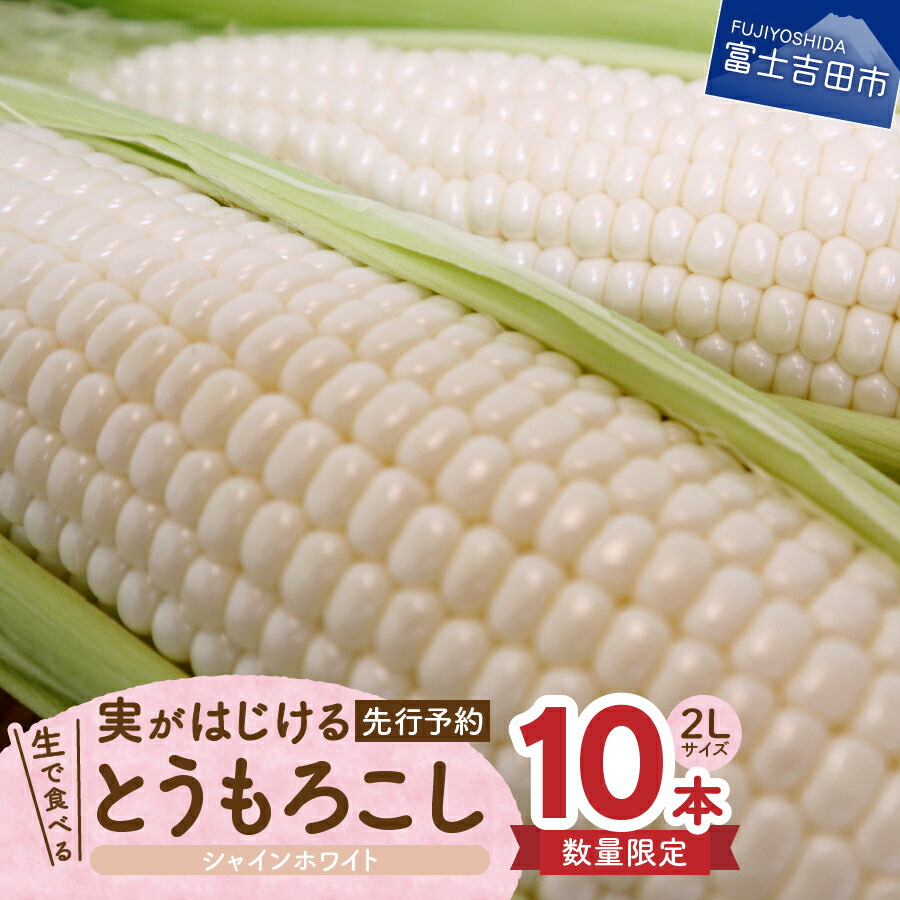 とうもろこし 数量限定 生で食べる 甘い 野菜 フルーツ ゴールド 10本 新鮮 シャインホワイト トウモロコシ コーン 先行予約