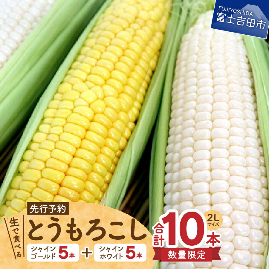 とうもろこし 数量限定 生で食べる 甘い 野菜 フルーツ ゴールド 10本 新鮮 シャインホワイト トウモロコシ コーン