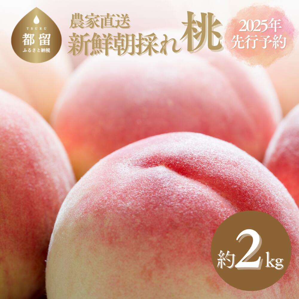 【ふるさと納税】山梨県産　桃約２kg（6～8玉）＜2025年　先行予約＞ 桃　もも　フルーツ　果物　くだもの 山梨 山梨県産 2025年発送