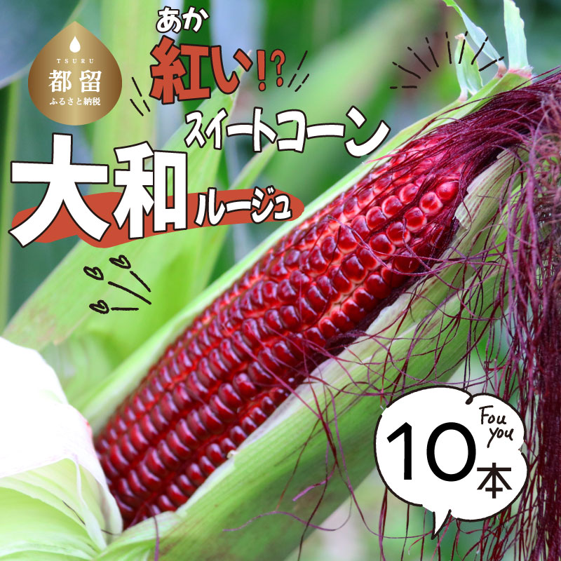 【ふるさと納税】【2025年先行予約】紅いスイートコーン　大和ルージュ