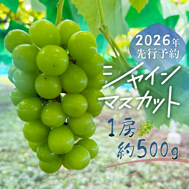 楽天市場】【ふるさと納税】【2026年先行予約】朝採れ 山梨県産