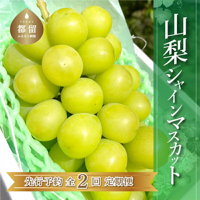 人気の定番 敬老の日 プレゼント 山梨産 ぶどう ３種お任せ詰合せ 2Kg 旬のブドウ 送料無料 一部を除く お彼岸 御供 御祝 内祝