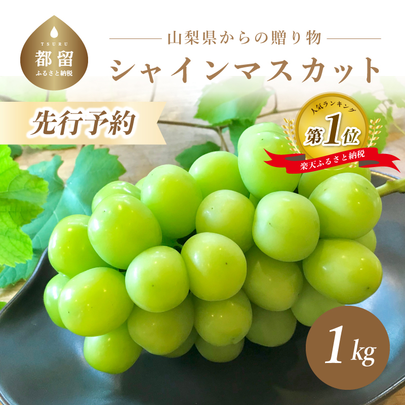 楽天市場 ふるさと納税 数量限定 山梨県産 シャインマスカット ２房 １箱１kg以上 冷蔵 送料無料 先行予約 予約 くだもの 果物 フルーツ シャイン ブドウ ぶどう 産直 新鮮 もぎたて 美味しい 山梨 やまなし 楽天総合ランキング1位 冷蔵便 都留 種なし