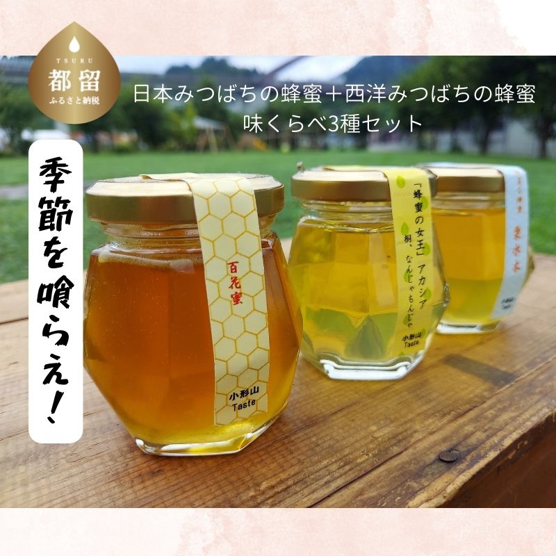 みつばち 楽天市場】【ふるさと納税】日本みつばち 蜂蜜 180g×1本 国産 幻