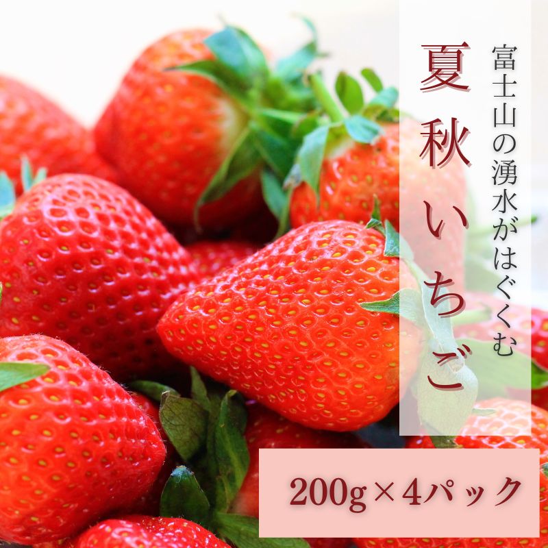 【ふるさと納税】【湧水のミネラルたっぷり！山梨の夏秋いちご】ご家庭用 200ｇ×  4パック 2025年7月から順次発送予定 ※ 画像は大粒（参考）です。苺のサイズで個数が変わります！【ユニファーム】｜苺 イチゴ ギフト 果物 フルーツ いちご 甘い 農園直送