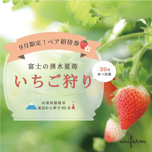 数量限定 ふるさと納税 山梨県都留市 夏いちご いちご狩り 21年 月限定 ペア招待券 2名分 限定組 苺 フルーツ 果物 食べ放題 体験 チケット いちご いちご農園 ストロベリー フルーツ狩り ユニファーム Rvcconst Com