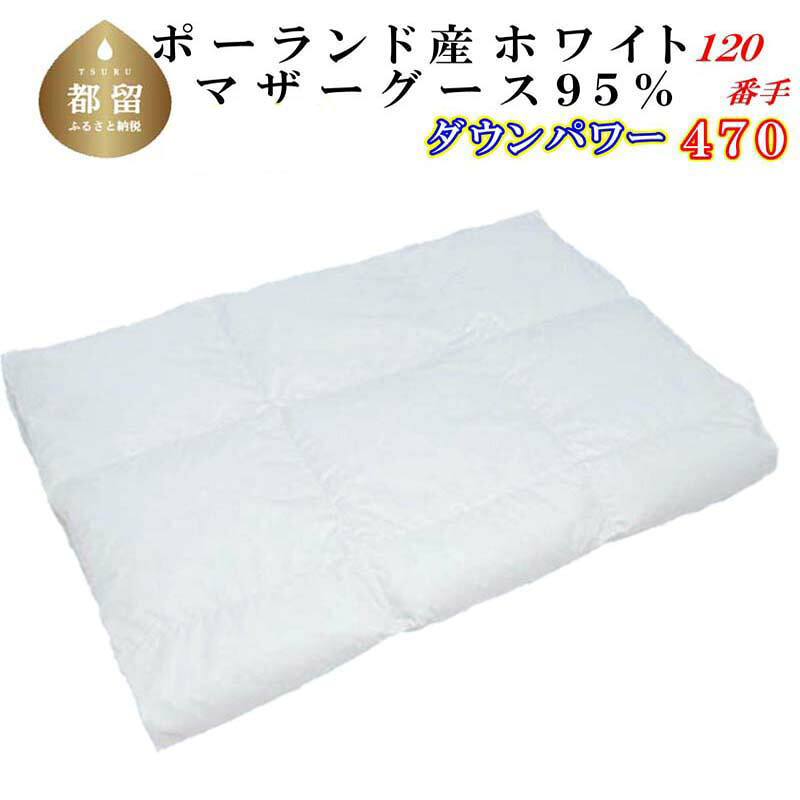 ?夏用布団特集?